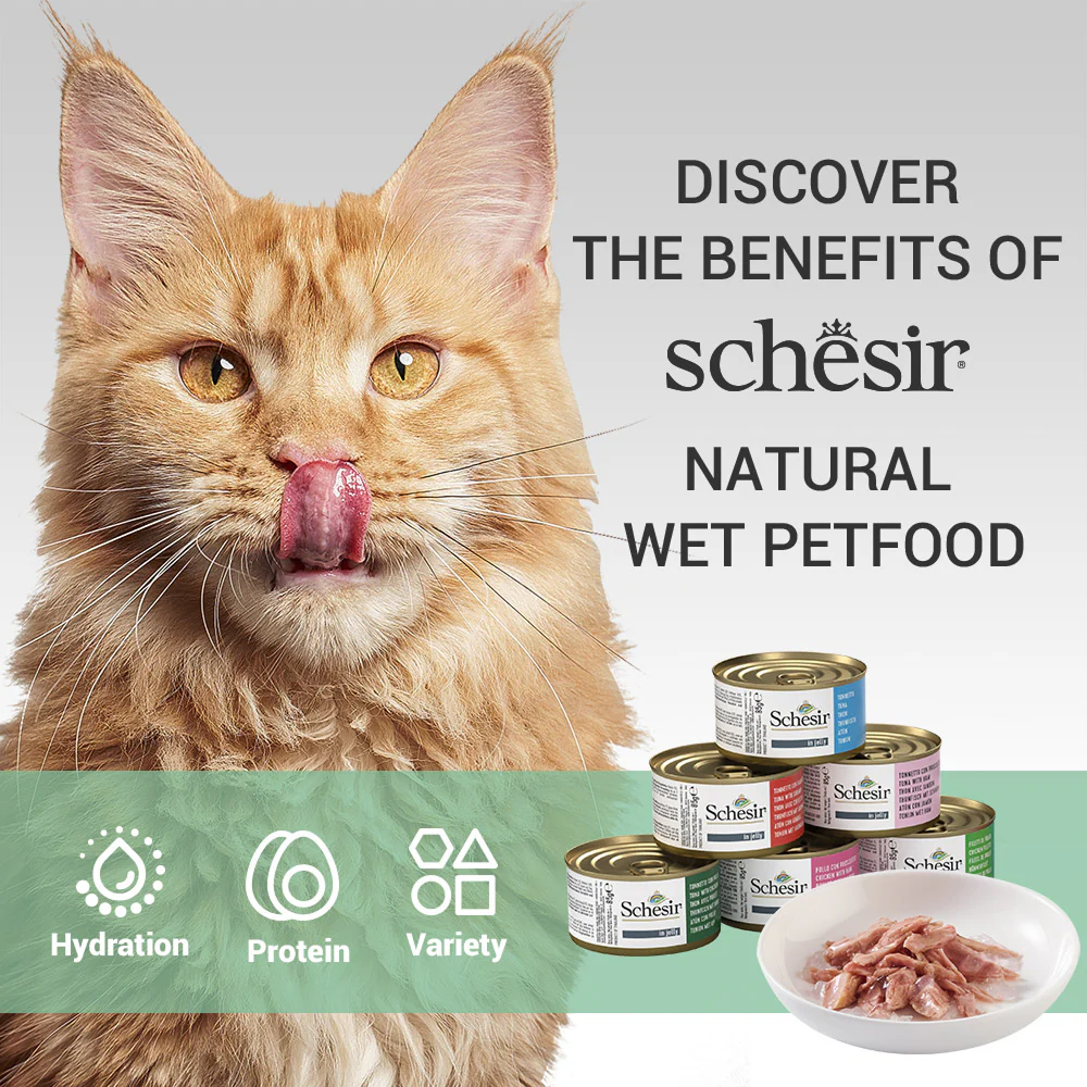 Schesir Tuna Whole Meat with Hake in Jelly Cat Wet Food - Image 4