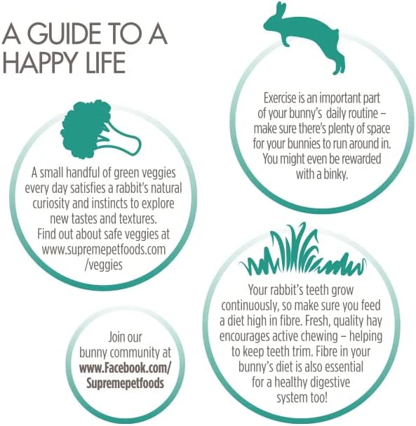 Science Selective Adult Rabbit Food - Image 2
