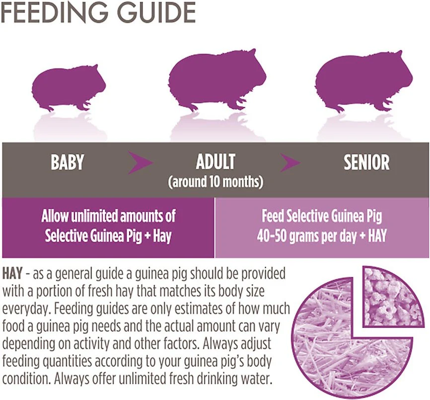 Science Selective Guinea Pig Food - Image 3