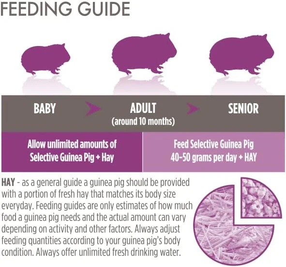 Science Selective Junior Guinea Pig Food - Image 2