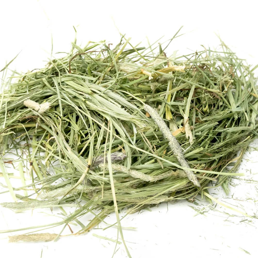 Science Selective Timothy Hay for Rabbits and Guniea Pigs - Image 2