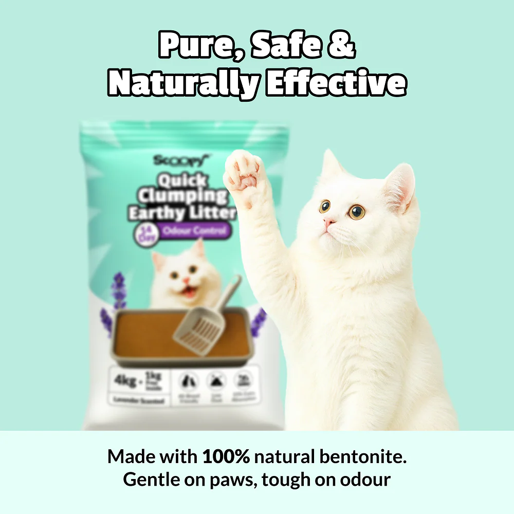 Scoopy Cat Litter | Lavender Scented | 100% Natural Indian Brown Sand (10kg) - Image 5