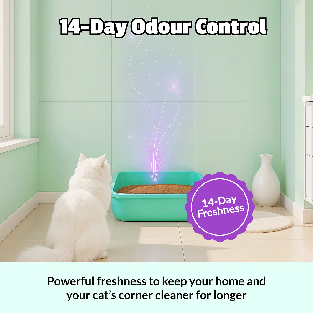 Scoopy Cat Litter | Lavender Scented | 100% Natural Indian Brown Sand (10kg) - Image 2
