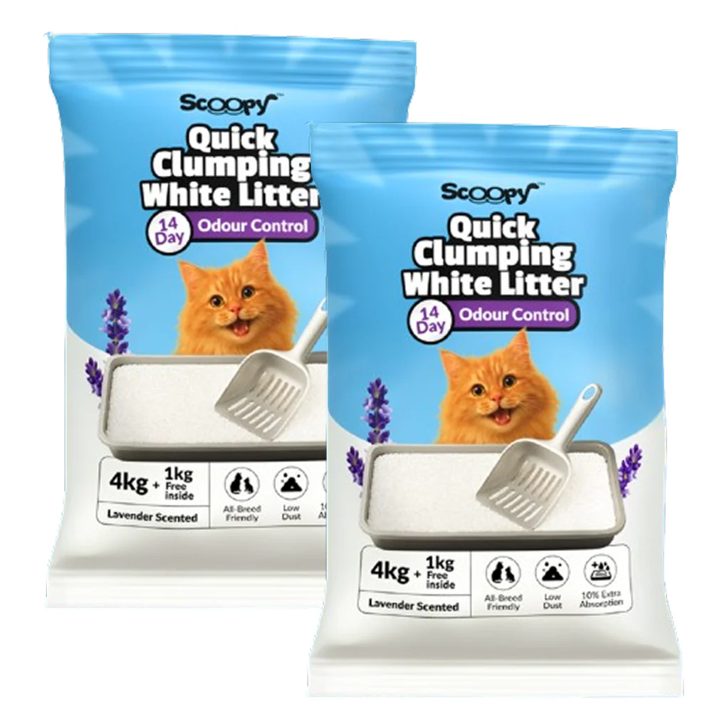 Scoopy Cat Litter | Lavender Scented | Quick Clumping | 100% Natural Bentonite White Sand (Buy 1 Get 1) - Image 11
