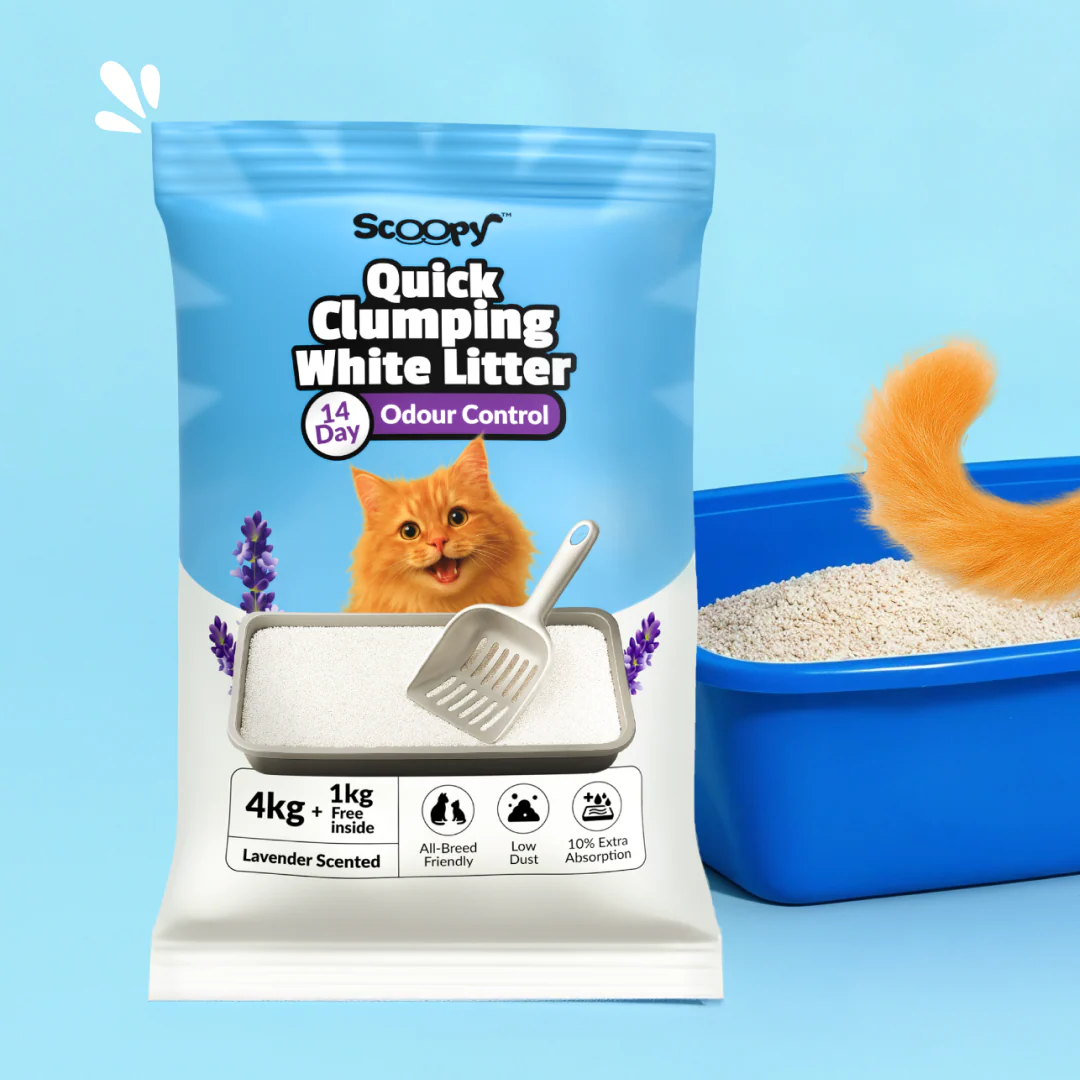 Scoopy Cat Litter | Lavender Scented | Quick Clumping | 100% Natural Bentonite White Sand (Buy 1 Get 1) - Image 2