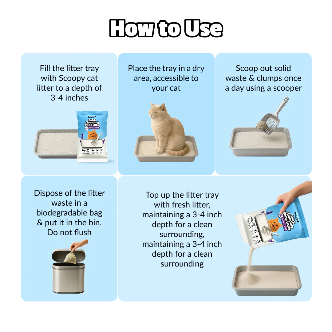 Scoopy Cat Litter | Lavender Scented | Quick Clumping | 100% Natural Bentonite White Sand (Buy 1 Get 1) - Image 9