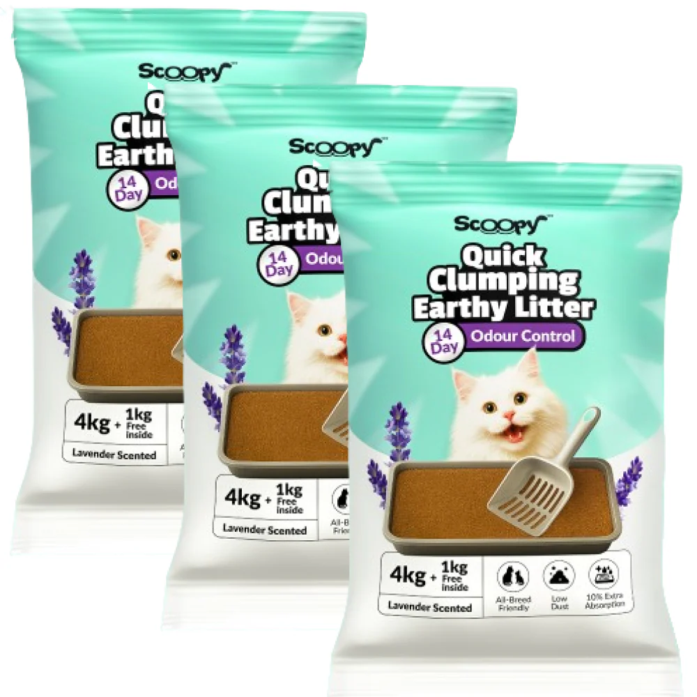 Scoopy Cat Litter | Lavender Scented | 100% Natural Indian Brown Sand - Image 2