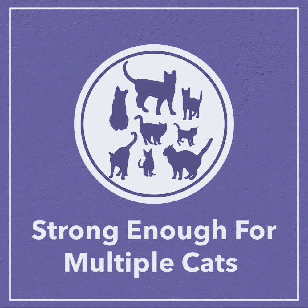 Scoopy Quick Clumping Lavender Scented Litter with Skatrs Litter Tray and Scooper for Cats - Image 6
