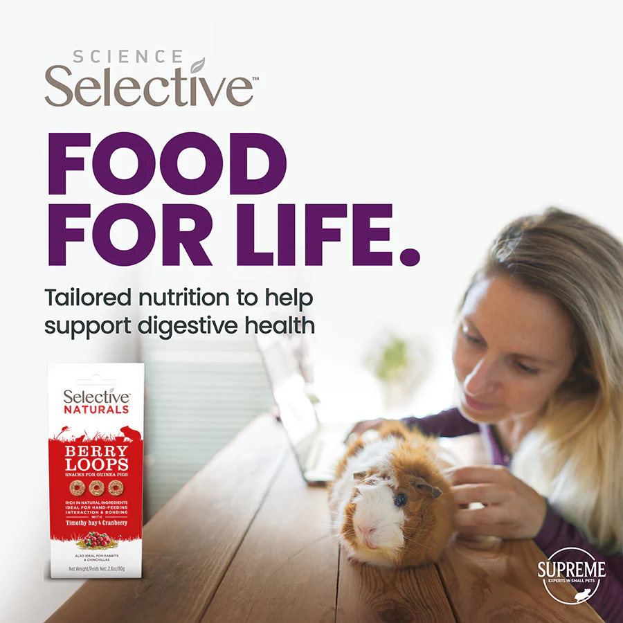 Selective Naturals Berry Loops for Guinea Pigs - Image 2