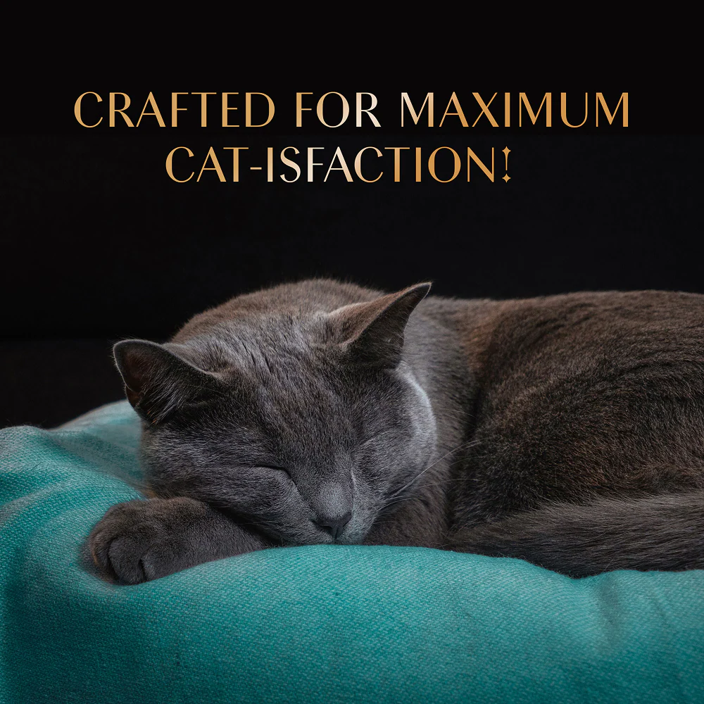 Sheba Chicken & Chicken Whitefish Sasami Selection Melty Premium Cat Treats - Image 6