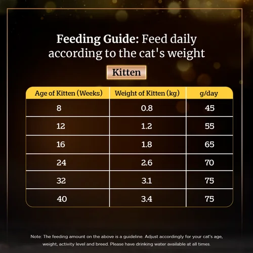 Sheba Chicken Flavour Irresistible All Life Stage Cat Dry Food - Image 4