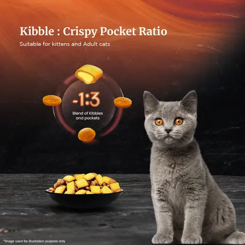 Sheba Chicken Flavour Irresistible All Life Stage Cat Dry Food - Image 7