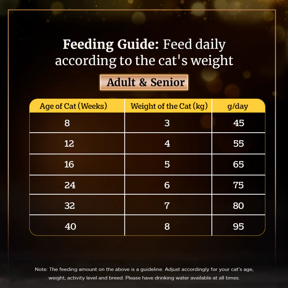 Sheba Chicken Flavour Irresistible All Life Stage Cat Dry Food - Image 2