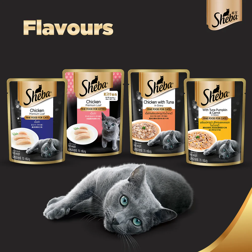 Sheba Chicken Loaf Rich Premium Kitten (2 to 12 Months) Fine Wet Food and Irresistible All Life Stage Cat Dry Food Combo - Image 10