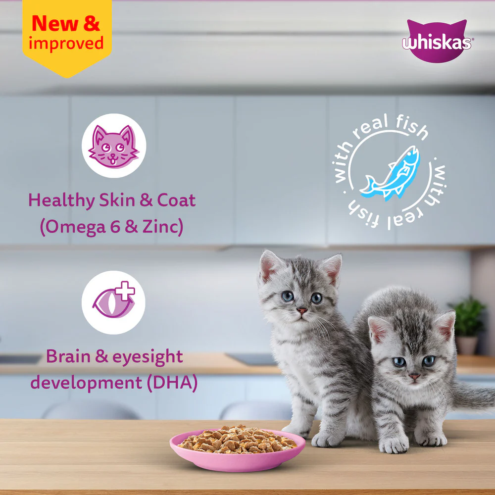Sheba Chicken Loaf and Whiskas Tuna in Jelly Kitten Cat Wet Food Combo - Image 16