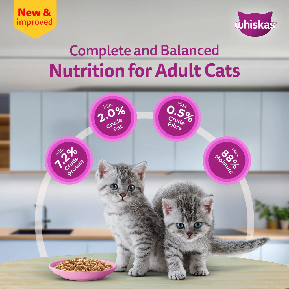 Sheba Chicken Loaf and Whiskas Tuna in Jelly Kitten Cat Wet Food Combo - Image 22