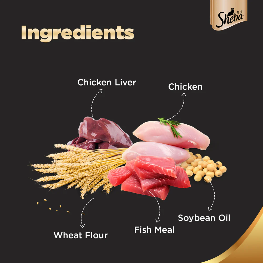 Sheba Chicken Loaf Rich Premium Kitten (2 to 12 Months) Fine Wet Food and Irresistible All Life Stage Cat Dry Food Combo - Image 4