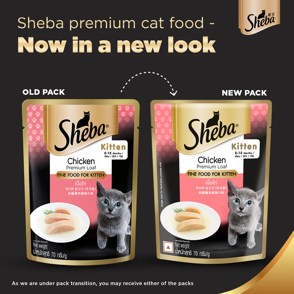 Sheba Chicken Loaf Premium Kitten (2 to 12 Months) Wet Food and Chicken All Life Stage Cat Dry Food Combo - Image 2