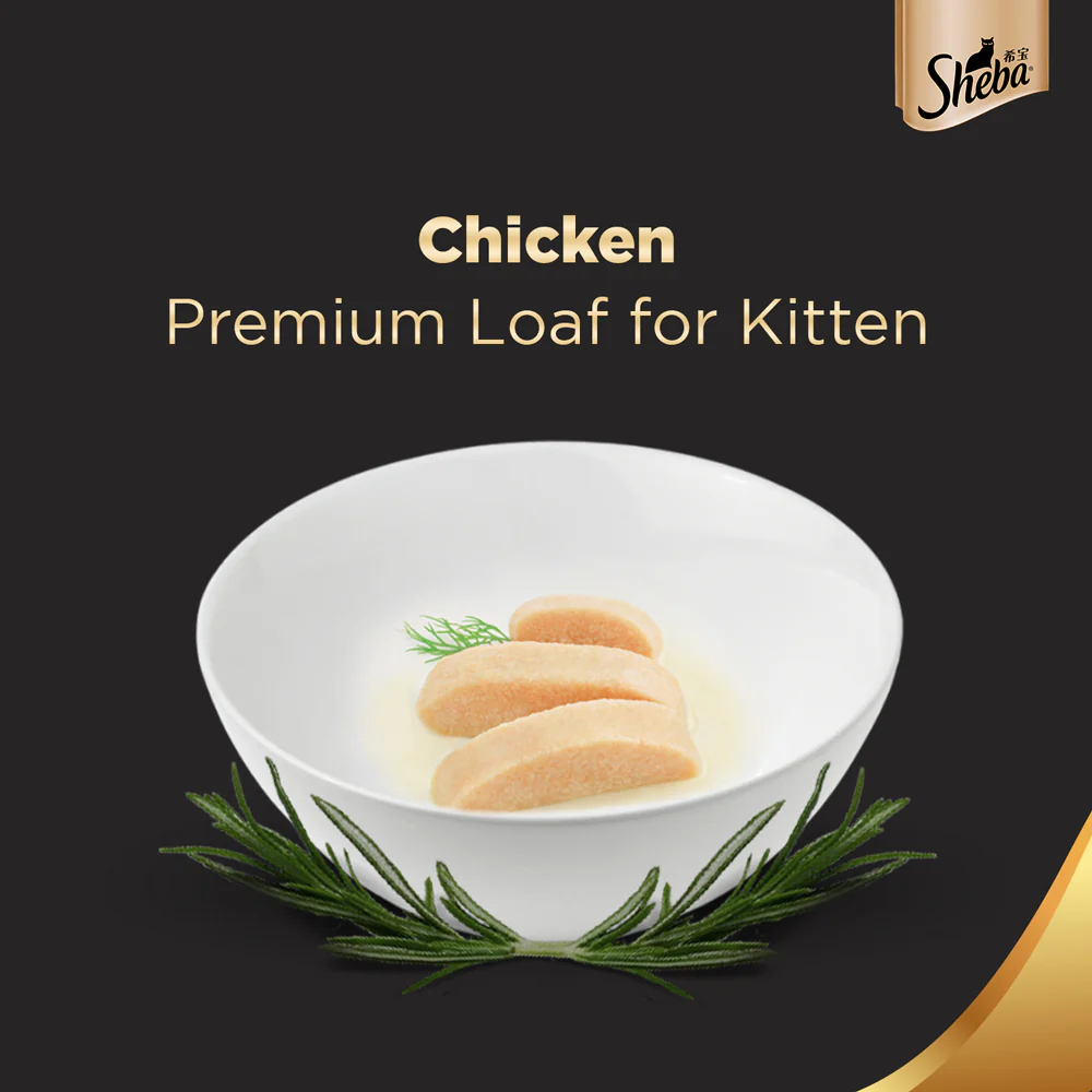 Sheba Chicken Loaf Premium Kitten (2 to 12 Months) Wet Food and Chicken All Life Stage Cat Dry Food Combo - Image 8