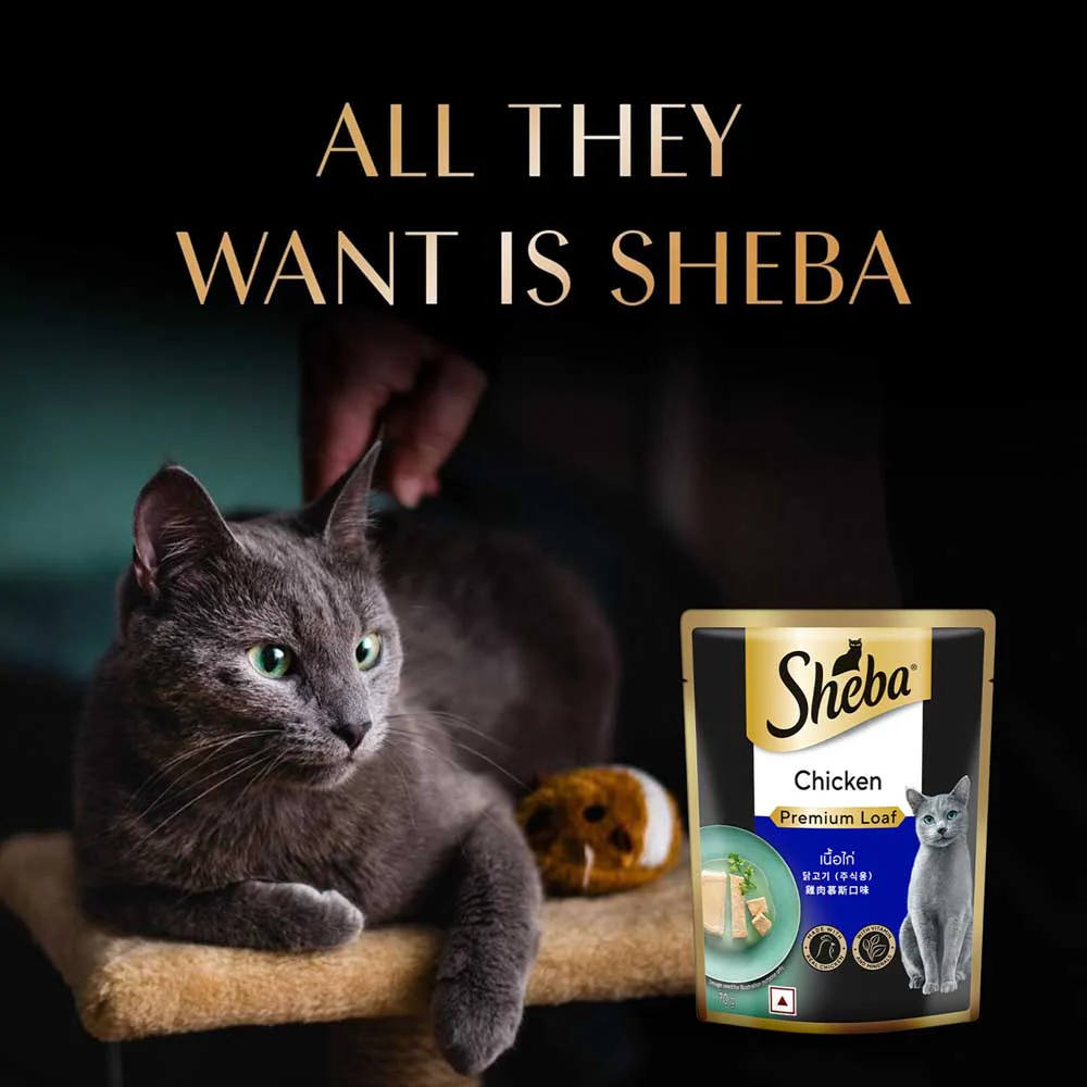 Sheba Chicken Loaf Rich Premium Adult Fine Cat Wet Food - Image 10