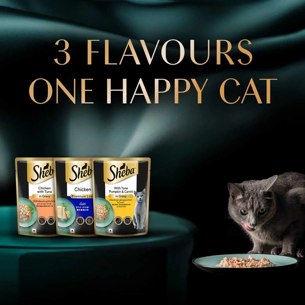 Sheba Chicken Loaf Rich Premium Adult Fine Cat Wet Food - Image 12