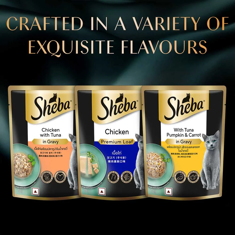 Sheba Chicken Loaf Rich Premium Adult Fine Cat Wet Food - Image 14