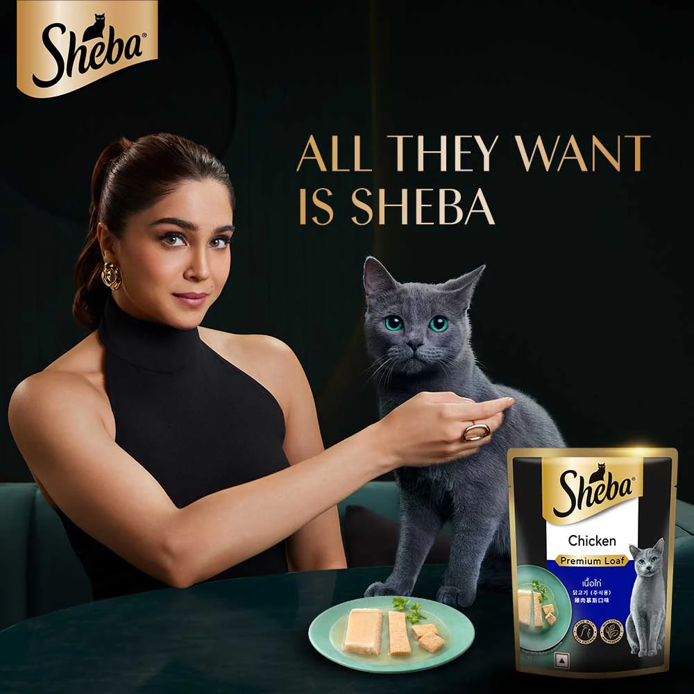 Sheba Chicken Loaf Rich Premium Adult Fine Cat Wet Food - Image 3