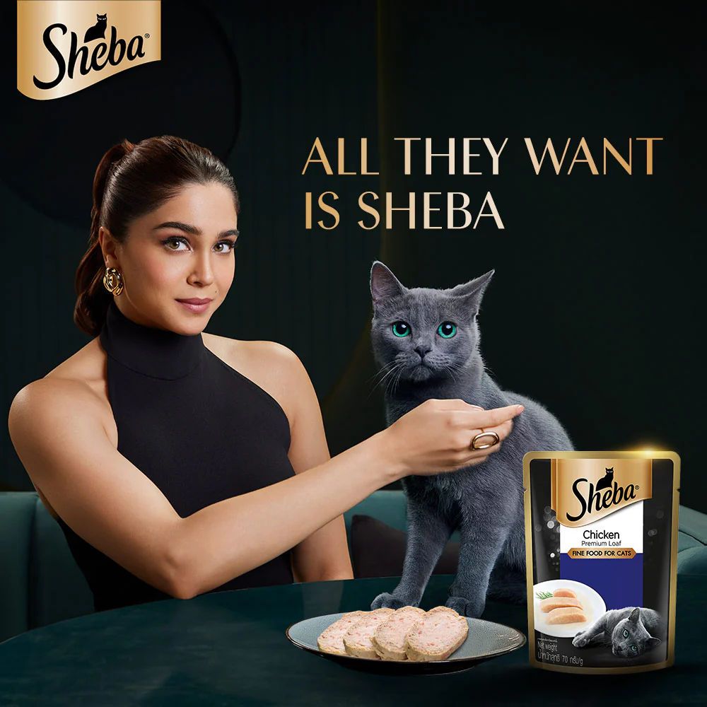 Sheba Chicken Loaf Rich Premium Adult Fine Cat Wet Food - Image 4