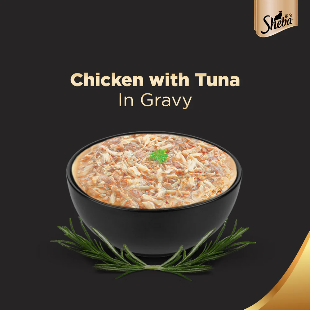 Sheba Chicken Loaf, Chicken With Tuna and Tuna Pumpkin & Carrot In Gravy Rich Premium Adult Fine Cat Wet Food Combo - Image 17