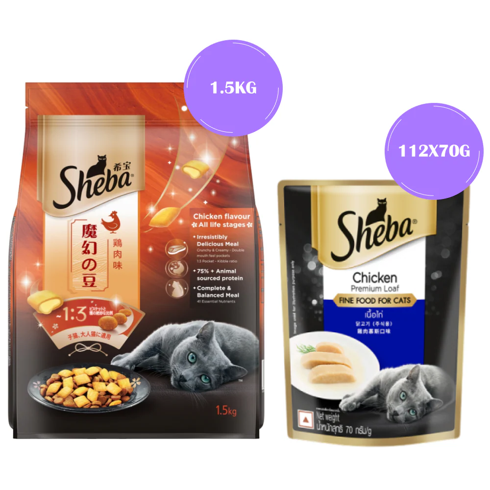 Sheba Chicken Loaf Rich Premium Adult Fine Wet Food and Chicken Flavour Irresistible All Life Stage Cat Dry Food Combo - Image 18