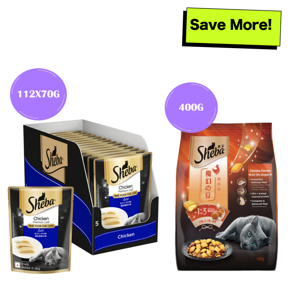 Sheba Chicken Loaf Rich Premium Adult Fine Wet Food and Chicken All Life Stage Cat Dry Food Combo - Image 15