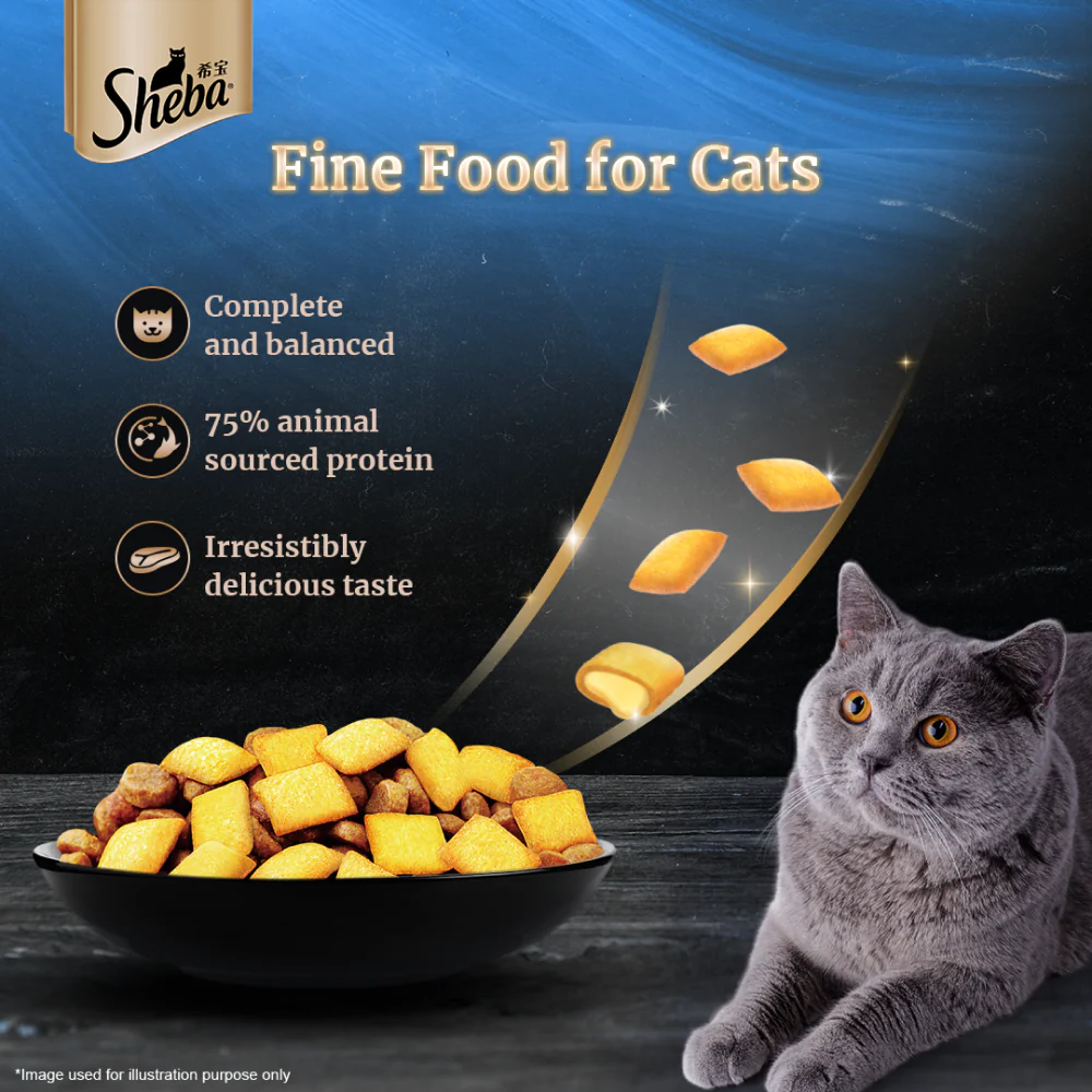 Sheba Chicken Loaf Rich Premium Adult Fine Wet Food and Salmon All Life Stage Cat Dry Food Combo - Image 12