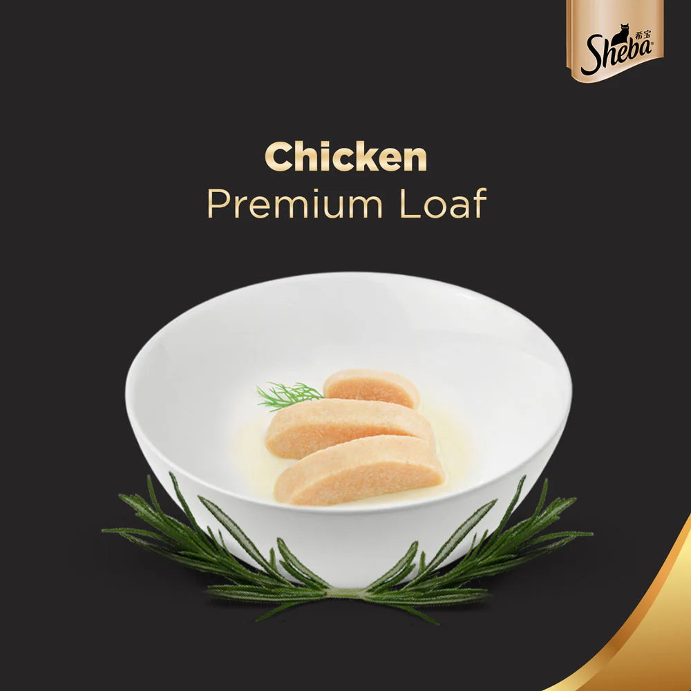 Sheba Chicken Loaf Rich Premium Adult Fine Wet Food and Salmon All Life Stage Cat Dry Food Combo - Image 8