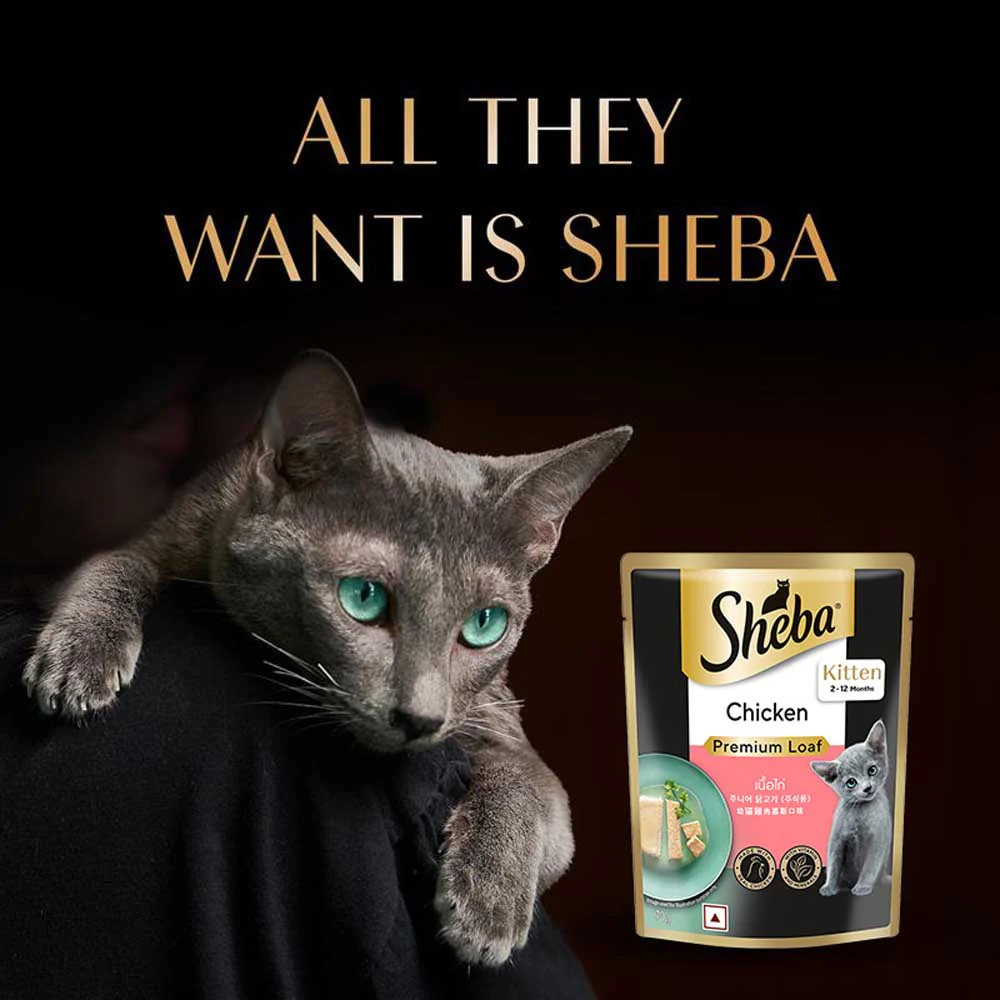 Sheba Chicken Loaf Rich Premium Kitten (2 to 12 Months) Fine Cat Wet Food - Image 13