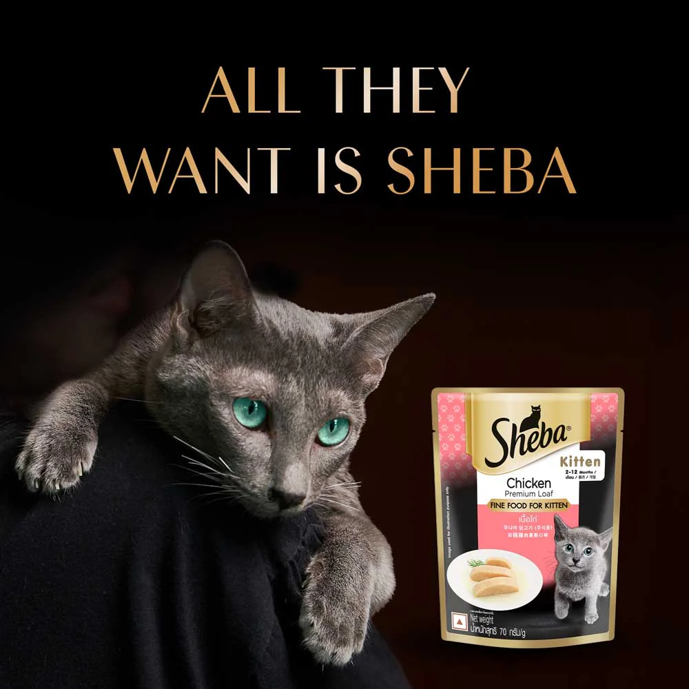 Sheba Chicken Loaf Rich Premium Kitten (2 to 12 Months) Fine Cat Wet Food - Image 14
