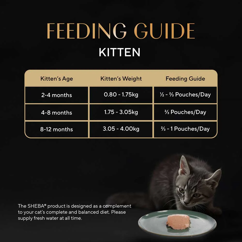 Sheba Chicken Loaf Rich Premium Kitten (2 to 12 Months) Fine Cat Wet Food - Image 15