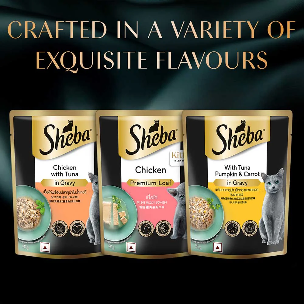 Sheba Chicken Loaf Rich Premium Kitten (2 to 12 Months) Fine Cat Wet Food - Image 17