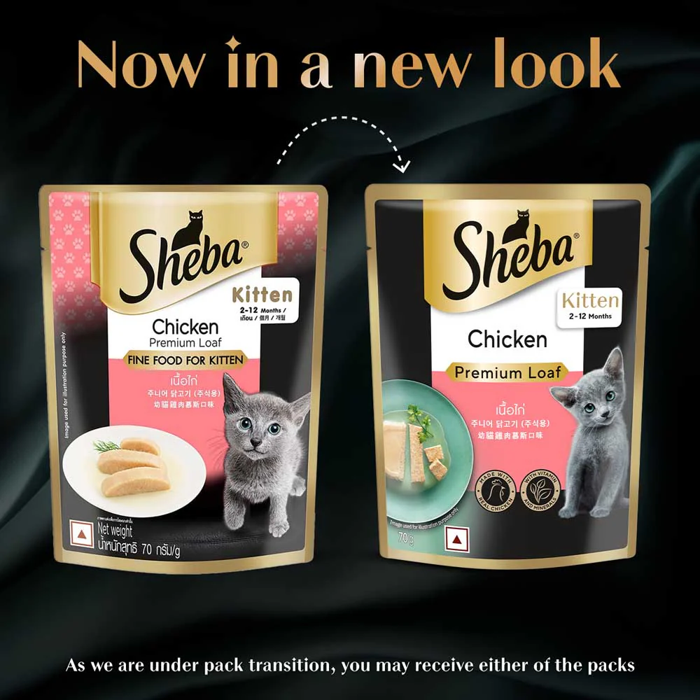 Sheba Chicken Loaf Rich Premium Kitten (2 to 12 Months) Fine Cat Wet Food - Image 20