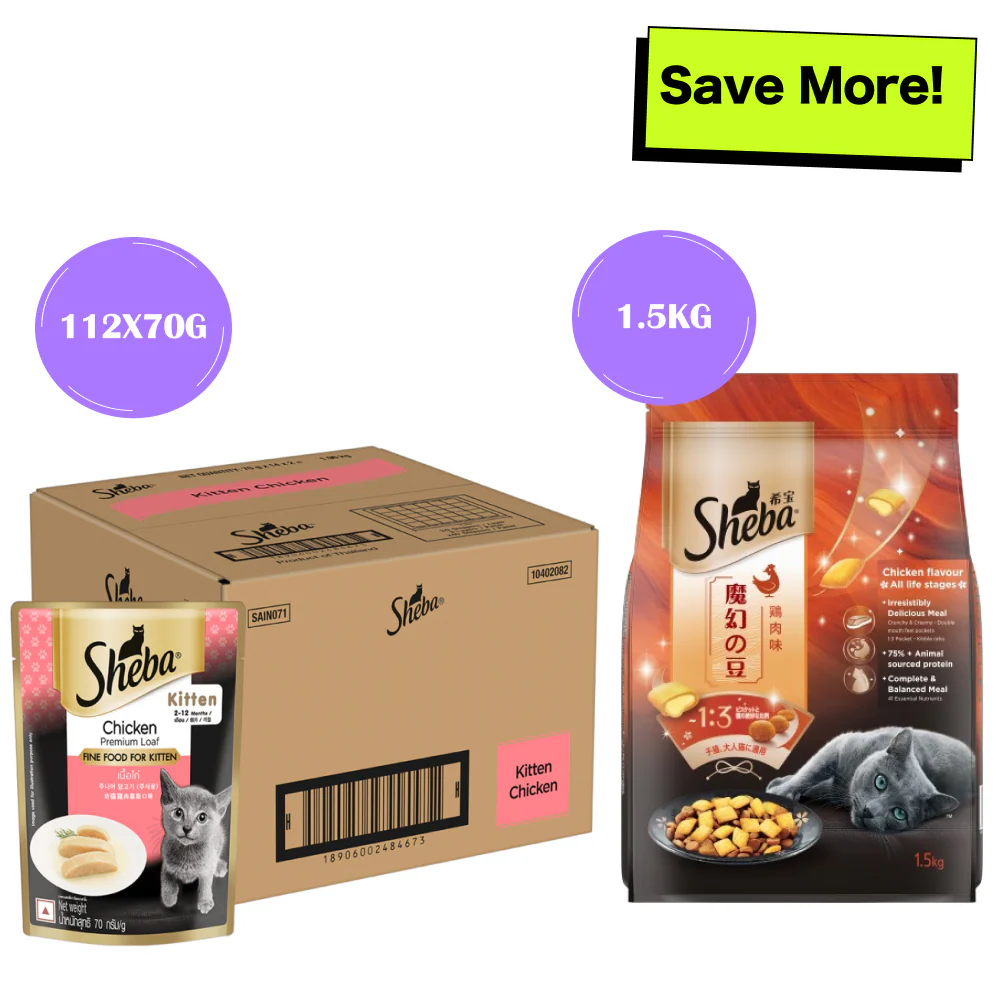 Sheba Chicken Loaf Rich Premium Kitten (2 to 12 Months) Fine Cat Wet Food - Image 25