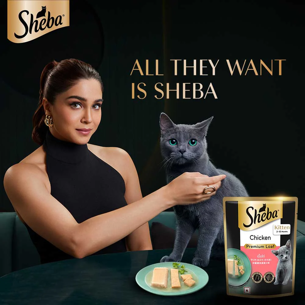 Sheba Chicken Loaf Rich Premium Kitten (2 to 12 Months) Fine Cat Wet Food - Image 7