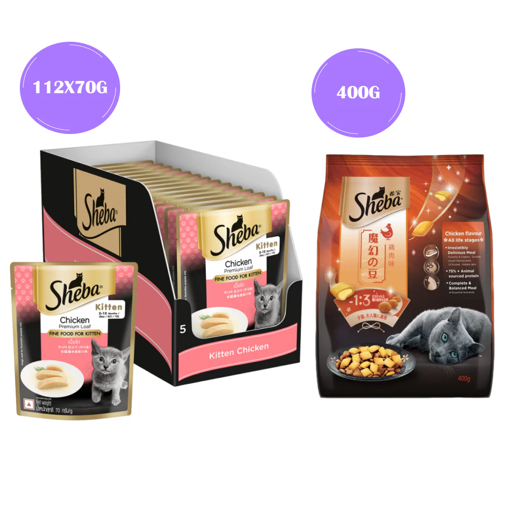 Sheba Chicken Loaf Rich Premium Kitten (2 to 12 Months) Fine Wet Food and Irresistible All Life Stage Cat Dry Food Combo - Image 18