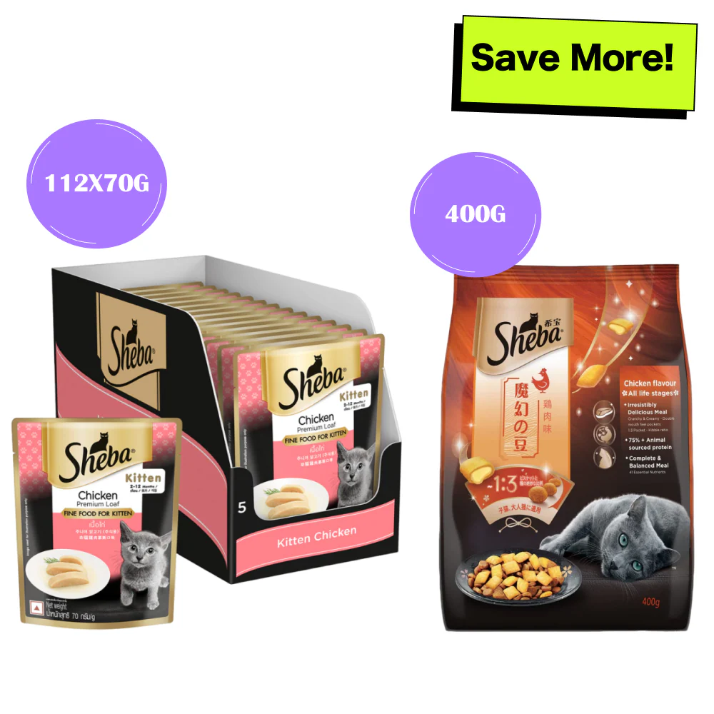 Sheba Chicken Loaf Premium Kitten (2 to 12 Months) Wet Food and Chicken All Life Stage Cat Dry Food Combo - Image 15