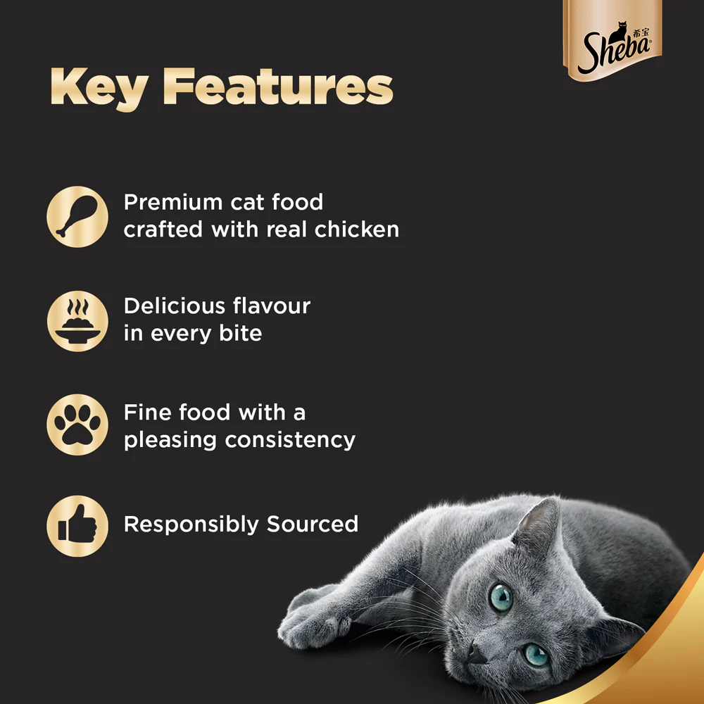 Sheba Chicken Loaf Premium Kitten (2 to 12 Months) Wet Food and Chicken All Life Stage Cat Dry Food Combo - Image 2