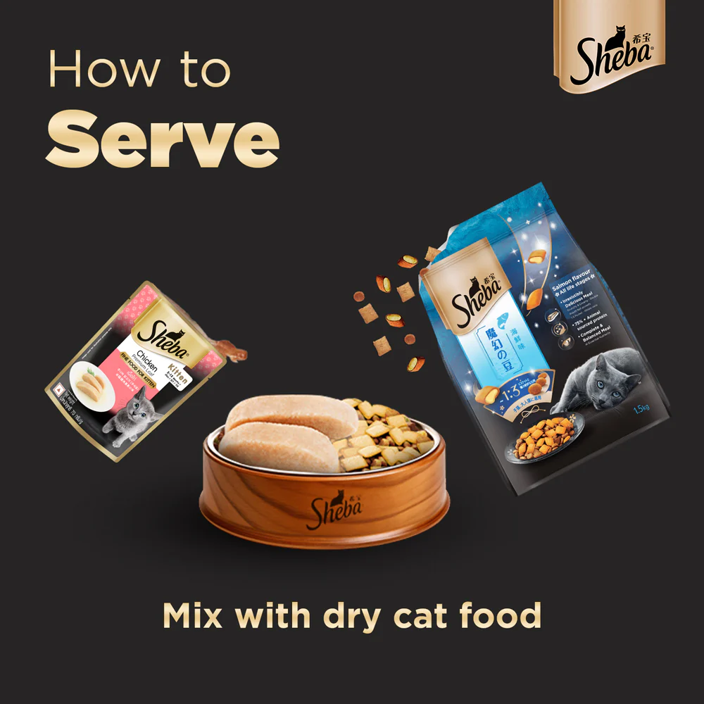 Sheba Chicken Loaf Premium Kitten (2 to 12 Months) Wet Food and Chicken All Life Stage Cat Dry Food Combo - Image 9