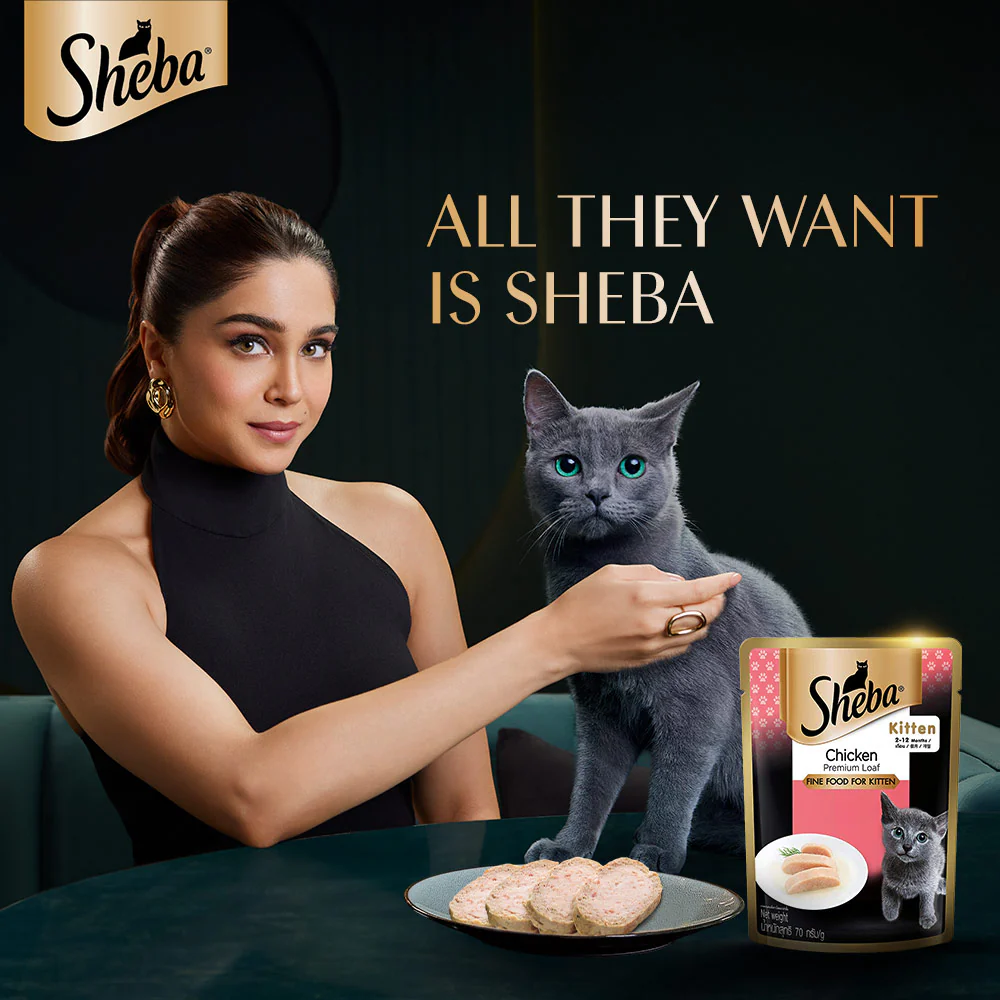 Sheba Chicken Loaf Rich Premium Kitten (2 to 12 Months) Fine Cat Wet Food - Image 3
