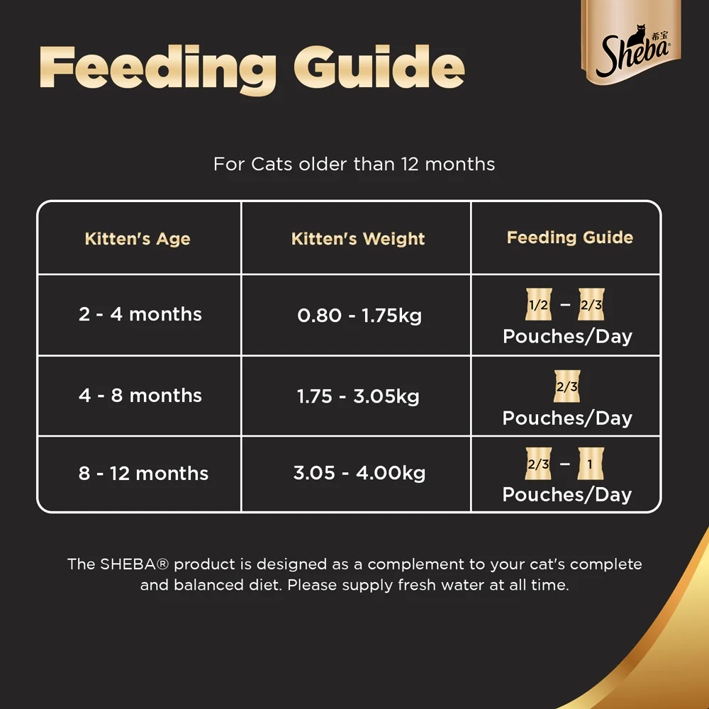 Sheba Chicken Loaf Rich Premium Kitten (2 to 12 Months) Fine Cat Wet Food - Image 6