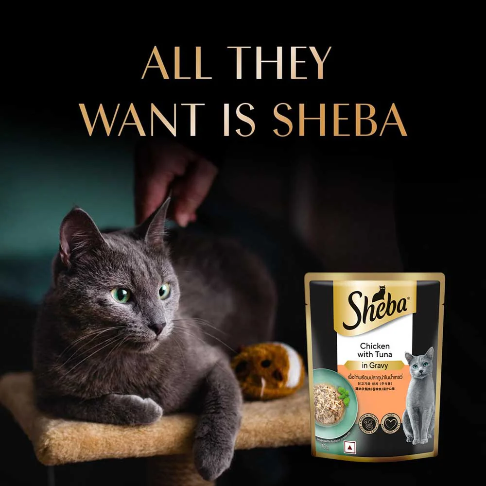 Sheba Chicken With Tuna In Gravy Rich Premium Adult Fine Cat Wet Food - Image 9