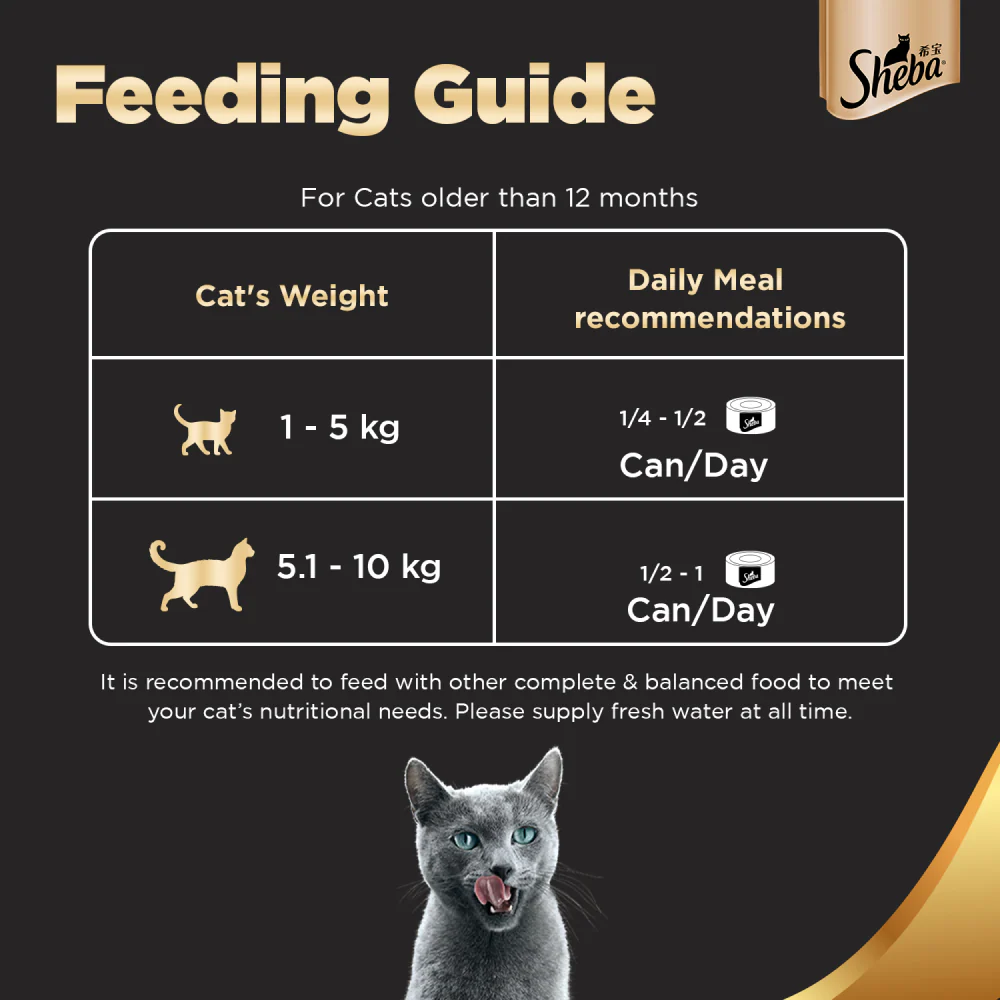 Sheba Complete Nutrition Succulent Chicken Breast In Gravy Cat Wet Food and Chicken Flavour Irresistible All Life Stage Cat Dry Food Combo - Image 6