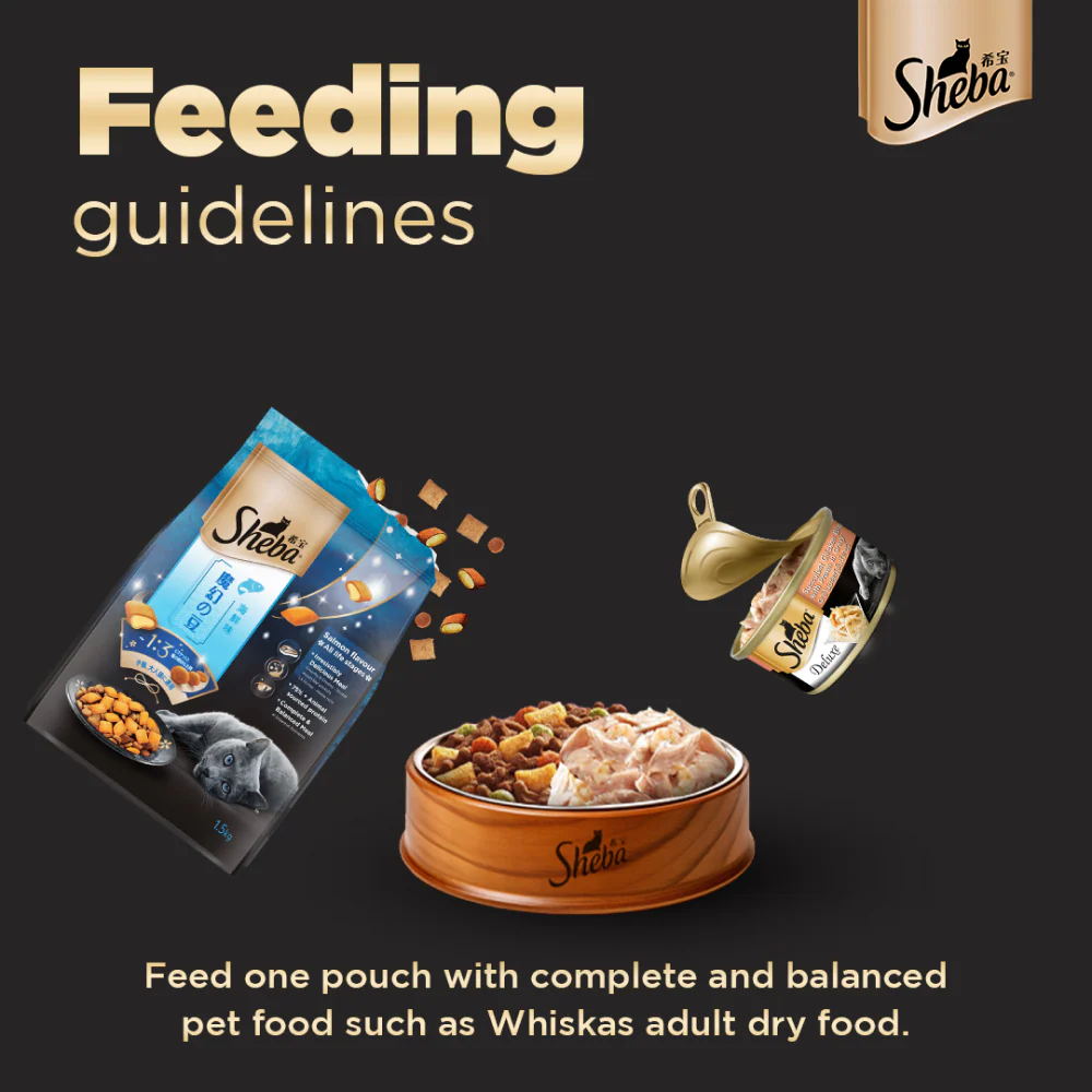 Sheba Complete Nutrition Succulent Chicken Breast In Gravy Cat Wet Food and Chicken Flavour Irresistible All Life Stage Cat Dry Food Combo - Image 7