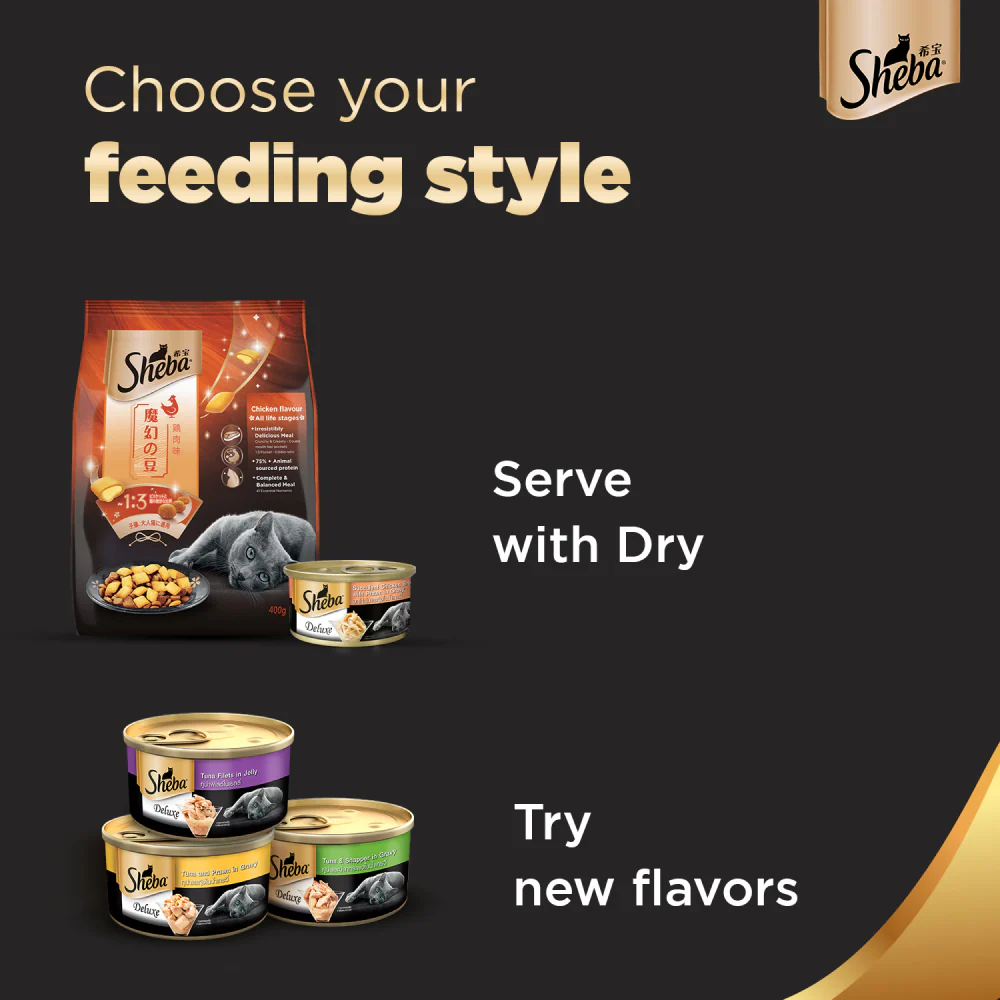 Sheba Complete Nutrition Succulent Chicken Breast In Gravy Cat Wet Food and Chicken Flavour Irresistible All Life Stage Cat Dry Food Combo - Image 9